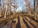 walk in campsite at our park