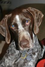 11-23-11 We'll miss you