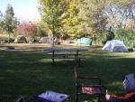 mom wanted pics of other tents, so here some are... and george all bundled up on the bottom right!