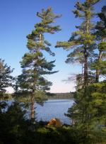 Ballard Lake Campsite, Quetico