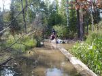 portage from Lower Pauness to Shell at the beaver pond
