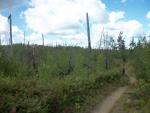 100 rod Portage