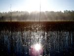 Island River 9/18/2009