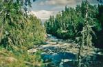rapids