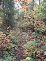 portage from Trail to March