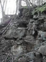rocks