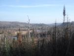 beaver ponds