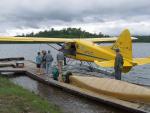 Beaver 1