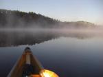 foggy Morning