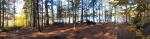 180º view of campsite looking west.