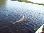 lost northern on shell lake