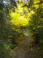 Wood Lake portage fall 2011