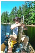 43 inches