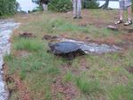 He held the campsite for us