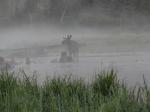 Cross Bay Entry-Bull Moose