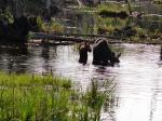 Gunflint Trail-June - 2011