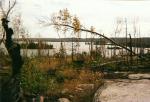 Veiw from the latrine