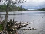 View south down Jasper Lake from portage landing leading to Lilypad Lake.