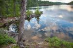 Evening reflection at island campsite on That Man Lake.