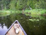 A brief chance to paddle a small pond along waterway connecting That Man and Magie Lakes.