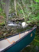 Looking up debris-choked stream en route to Magie Lake.