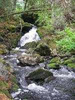 One of the beautiful little hidden surprises along the way toward Magie Lake.