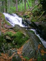Small falls along stream connecting That Man and Magie Lakes.