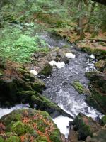 Top of falls along stream connecting That Man and Magie Lakes.