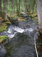 Looking downstream along bushwhack path between That Man and Magie Lakes.