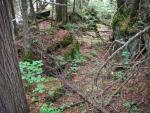 Bushwhack continues at other end of second pond.