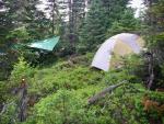 Good campsite locations are scarce on bushwhack lake.