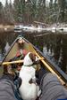 Canoe Dog Josie