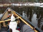 Canoe Dog Josie