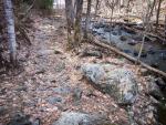 Trail along southernmost 30 rod portage connecting Mudro Lake to Fourtown Lake.