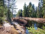 Trail approaching Angleworm Lake side of portage from Home Lake.