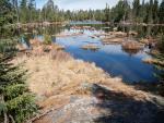 Pretty marsh along the Angleworm portage trail.