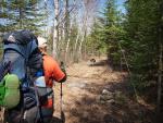 Hiking northeast from trail loop junction on wide and well-defined path.