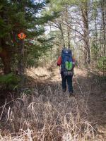 Yes, that's the correct way west on the main Pow Wow Trail. Rare signs in the BWCAW.