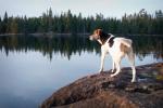 Katy watches the sun go down over Pose Lake.