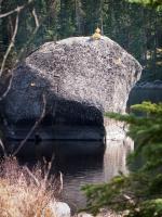 Boulder with sapling in South Wilder Lake.