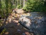 Lichen covered boulder beside trail at Horseshoe Lake.