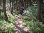 The trail becomes engulfed by cedars as we near Lake Three.