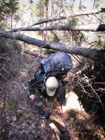 Heidi crawls under more deadfall between Path and Mirror Lakes.