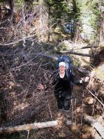 All the deadfall is making Heidi go insane!