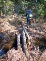 Beaver pond crossing just west of Myth Lake.