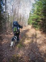 The trail becomes flatter and wider as we near Quadga Lake.
