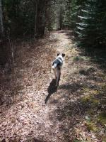 Katy enjoys the much easier trail along southern side of loop.