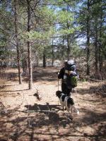 Closing the loop at the trail junction.