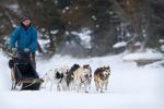 Mike Nelson gets up to speed with the dog team.