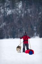 Brian and dog skijor down Clearwater Lake.